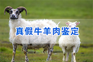 常州羊类动物鉴定